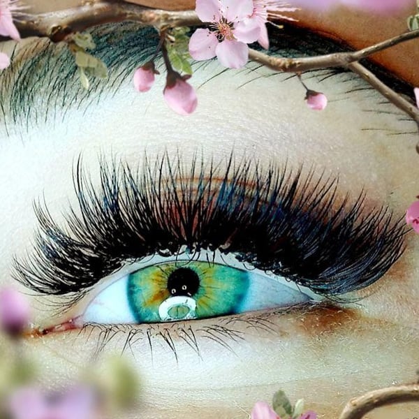 טקסט חלופי לתמונה