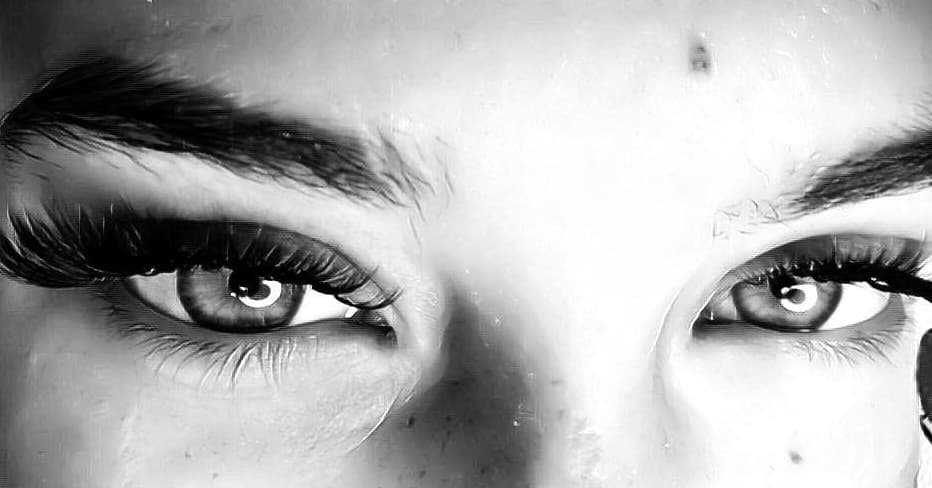 טקסט חלופי לתמונה