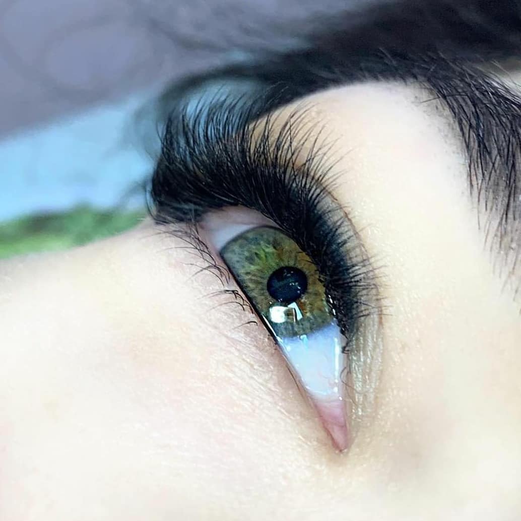 טקסט חלופי לתמונה